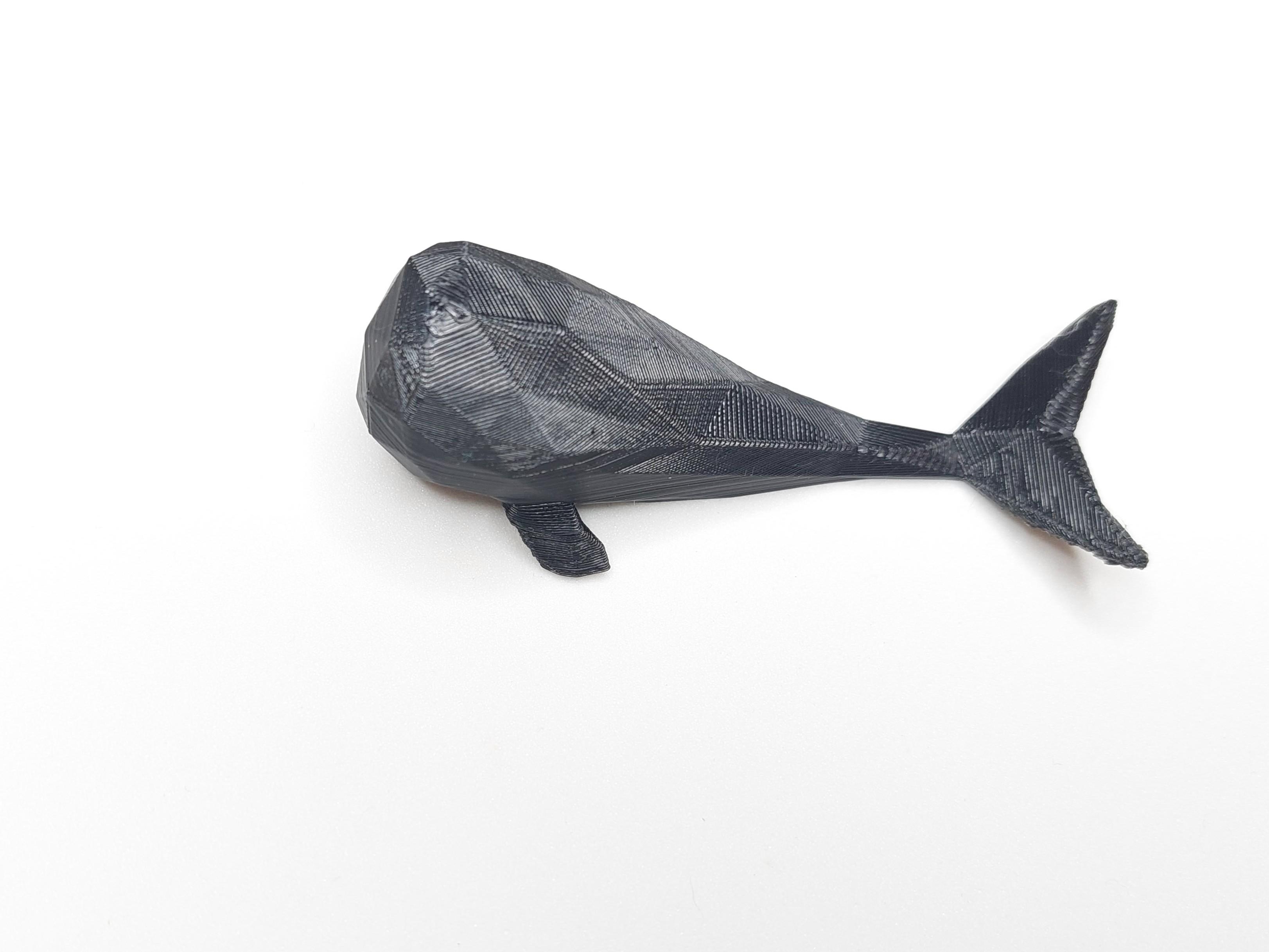 Low Poly Whale Fridge Magnet 3d model