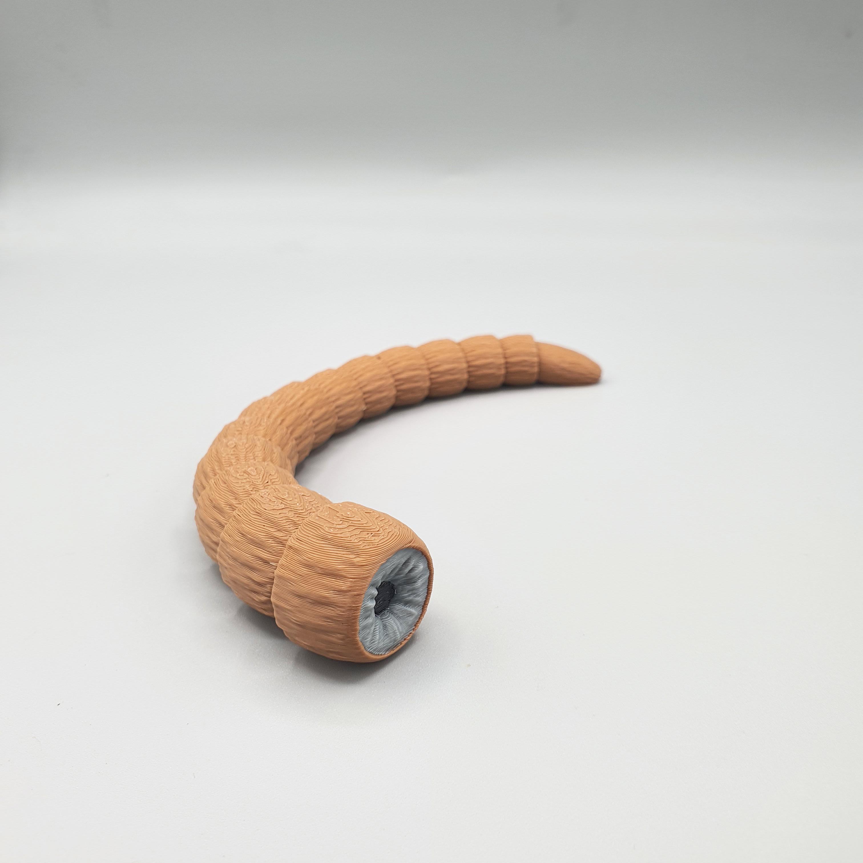 DUNE ARTICULATE SANDWORM FLEXI WITH BASE 3d model
