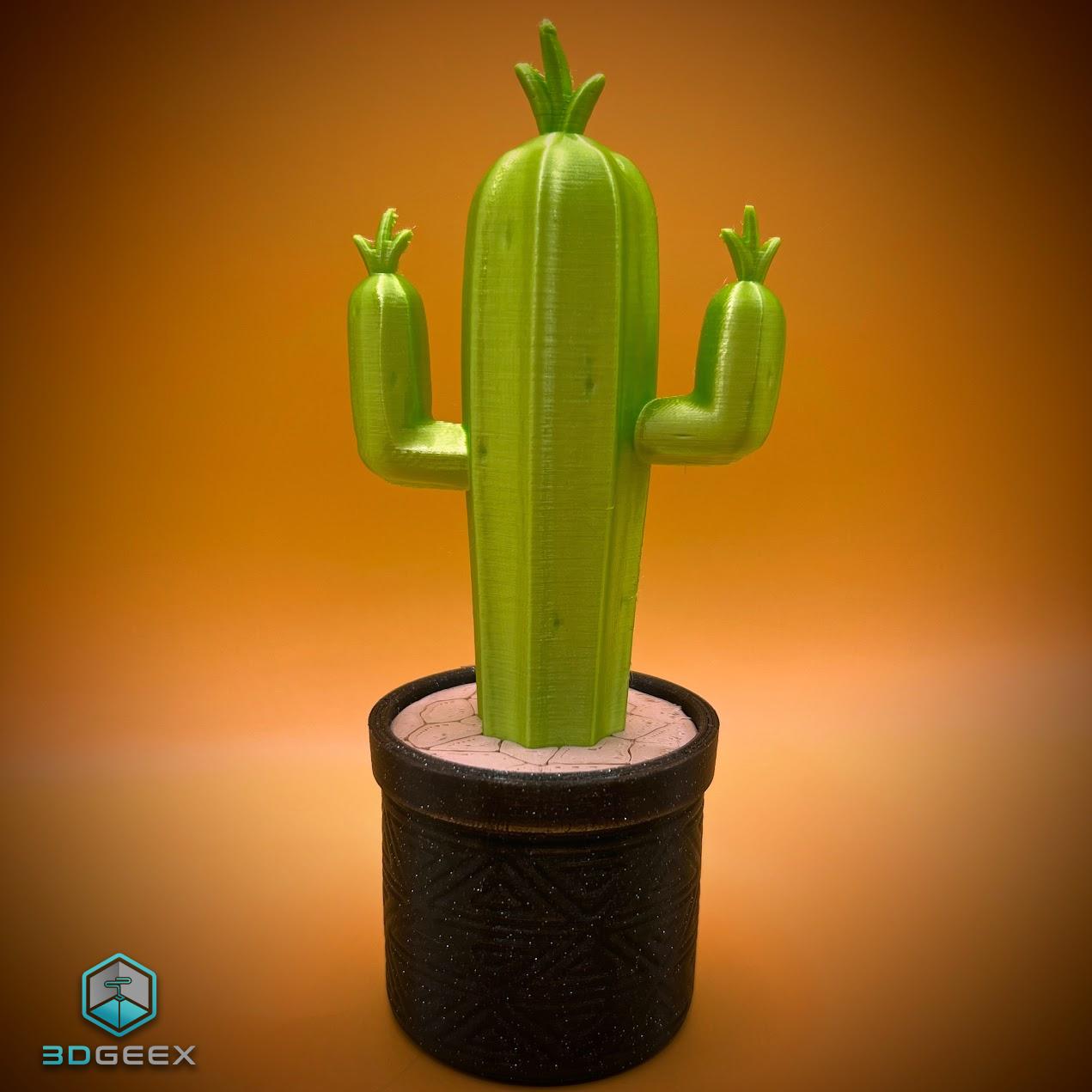 Cactus Heist 3d model