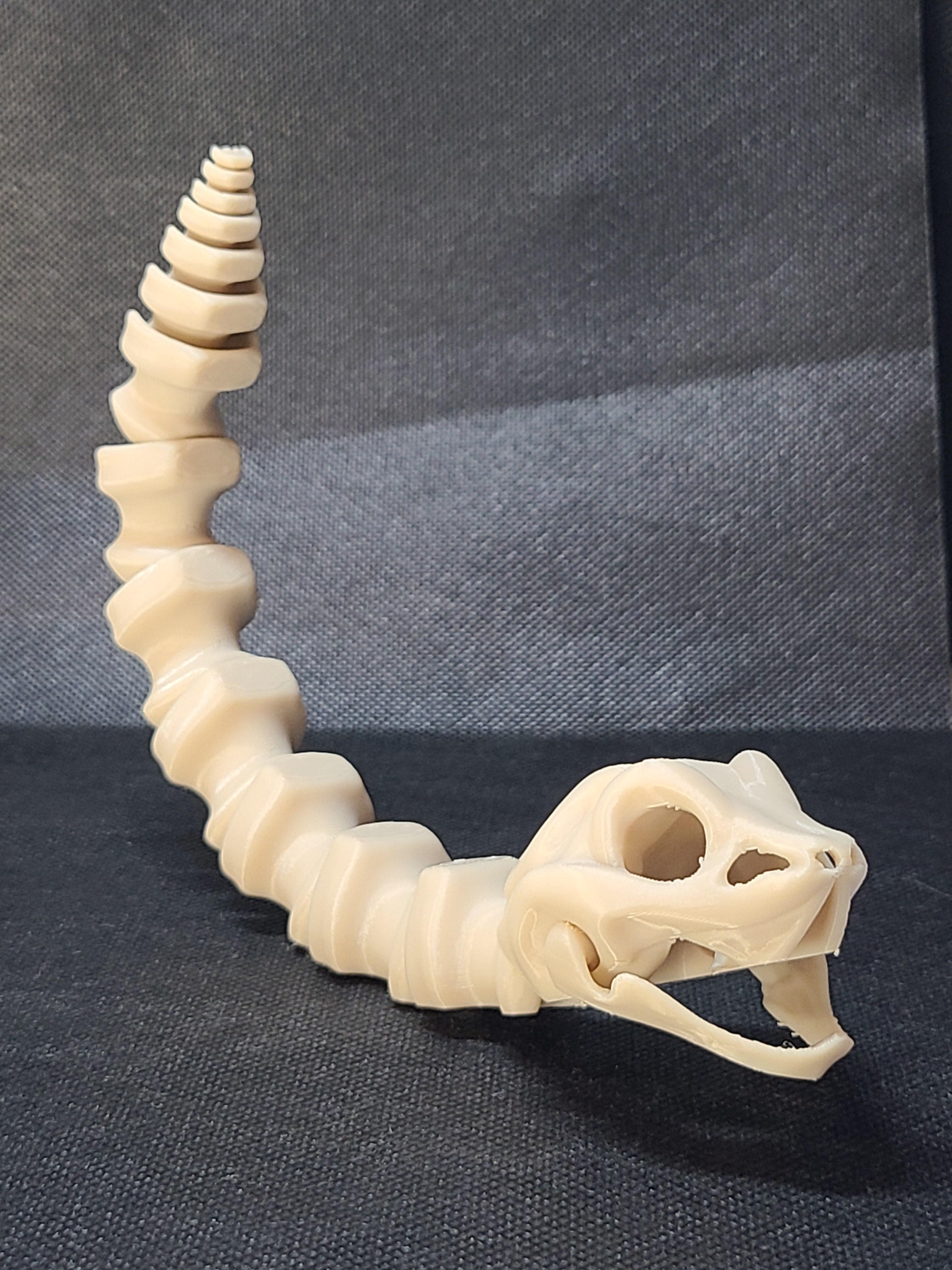 Round-Eyed Bone Snake (Tight) - Articulated Snap-Flex Fidget 3d model