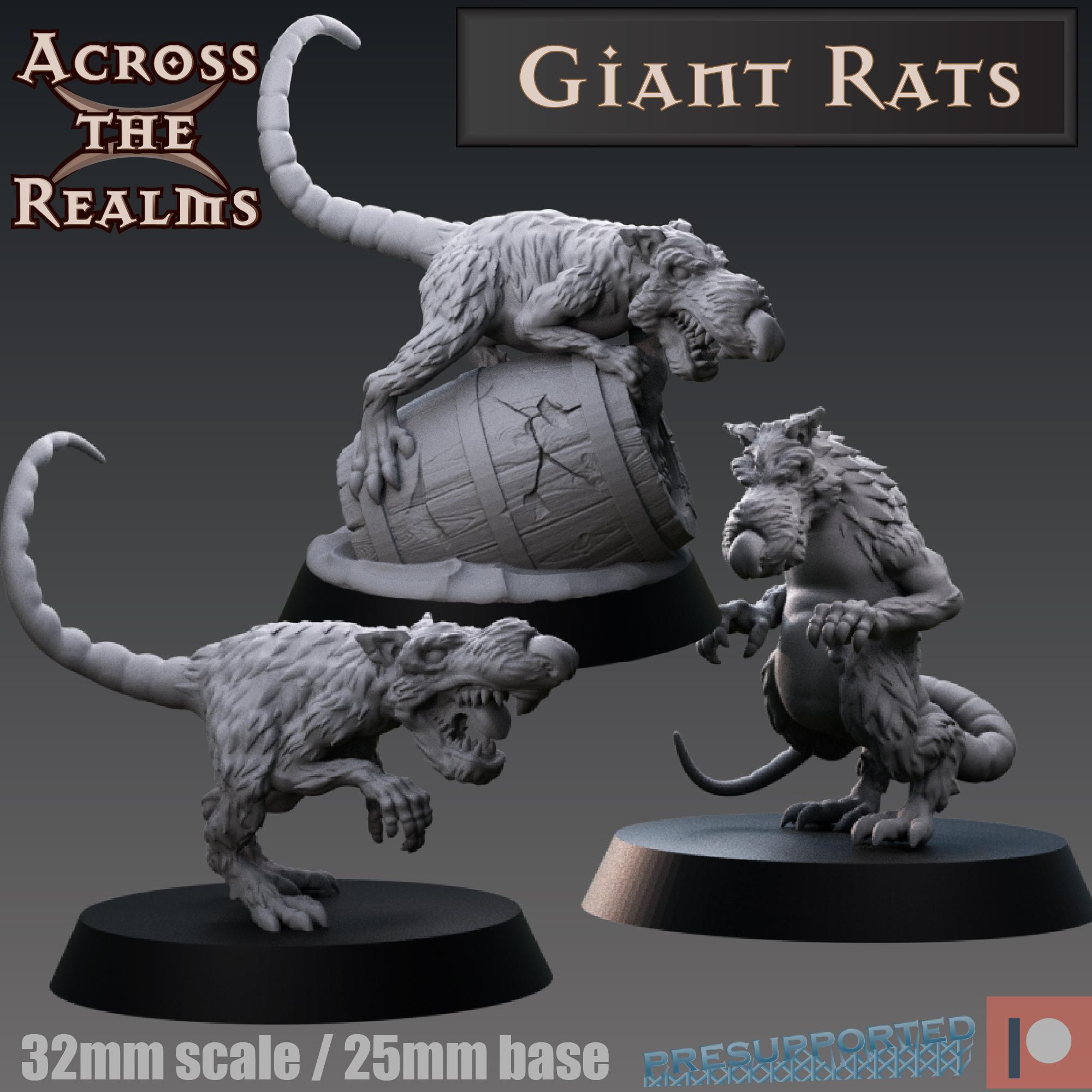 Giant rats 3d model