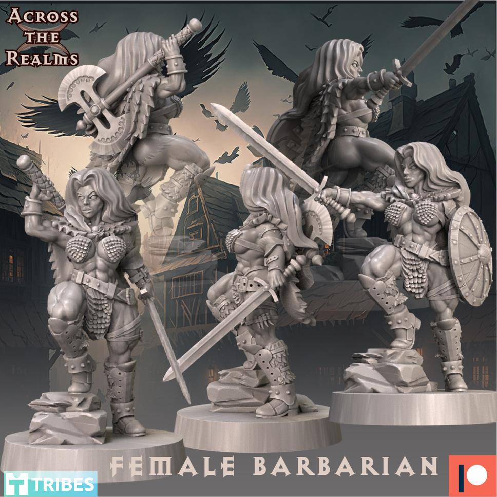 Female barbarian 3d model