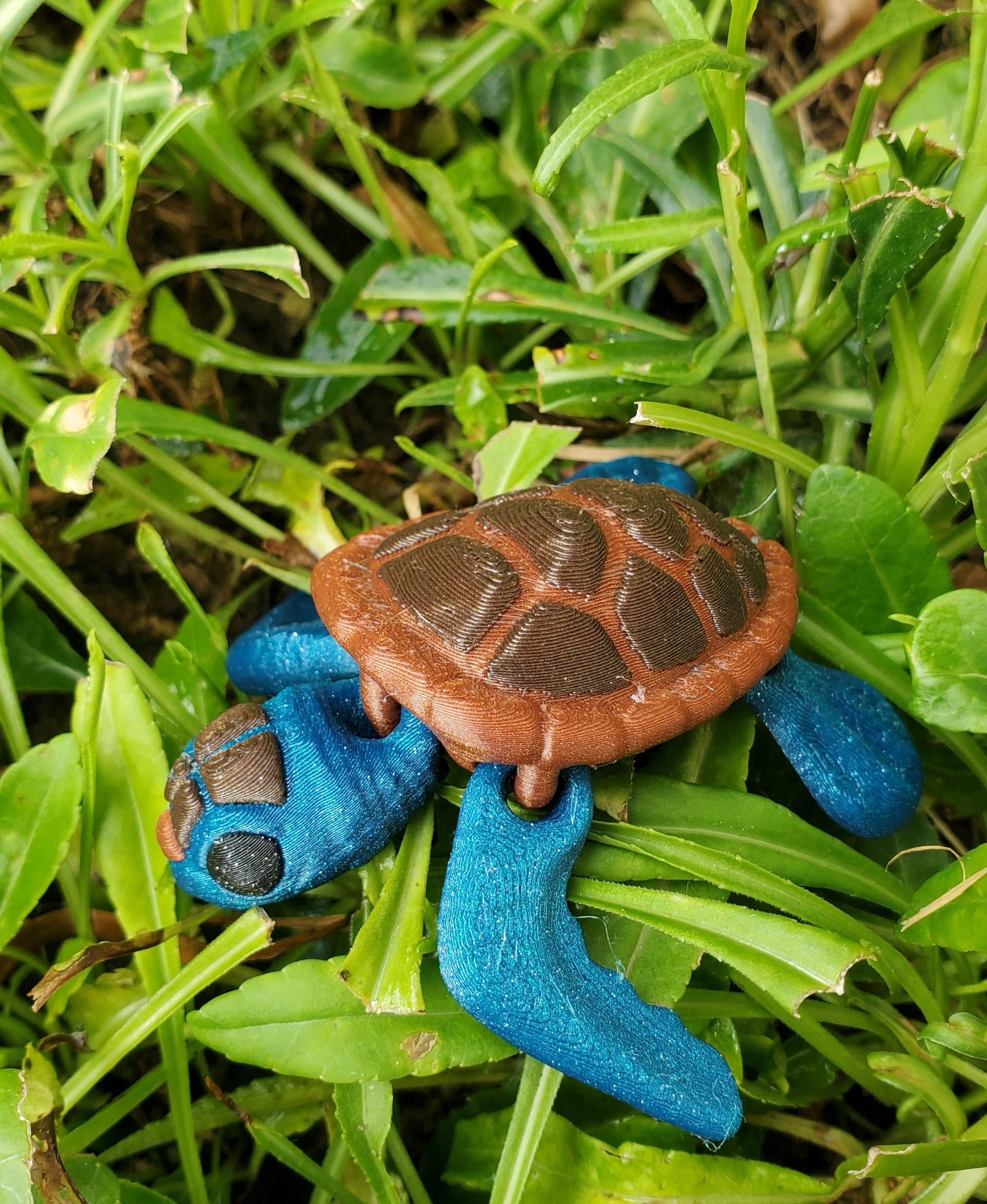 Flexi Baby Sea Turtle - Protopasta filaments - 3d model