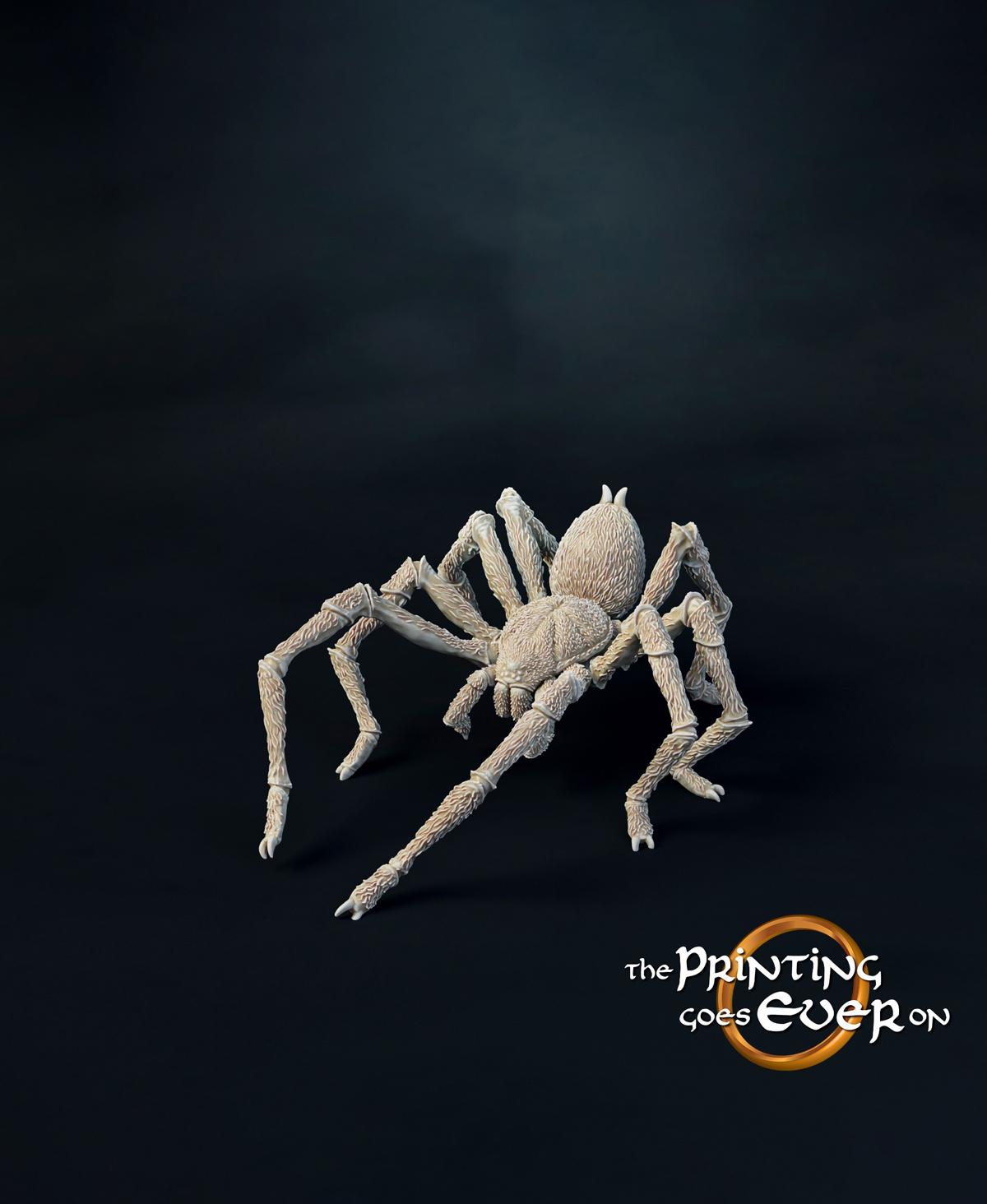 Small Spider A 3d model