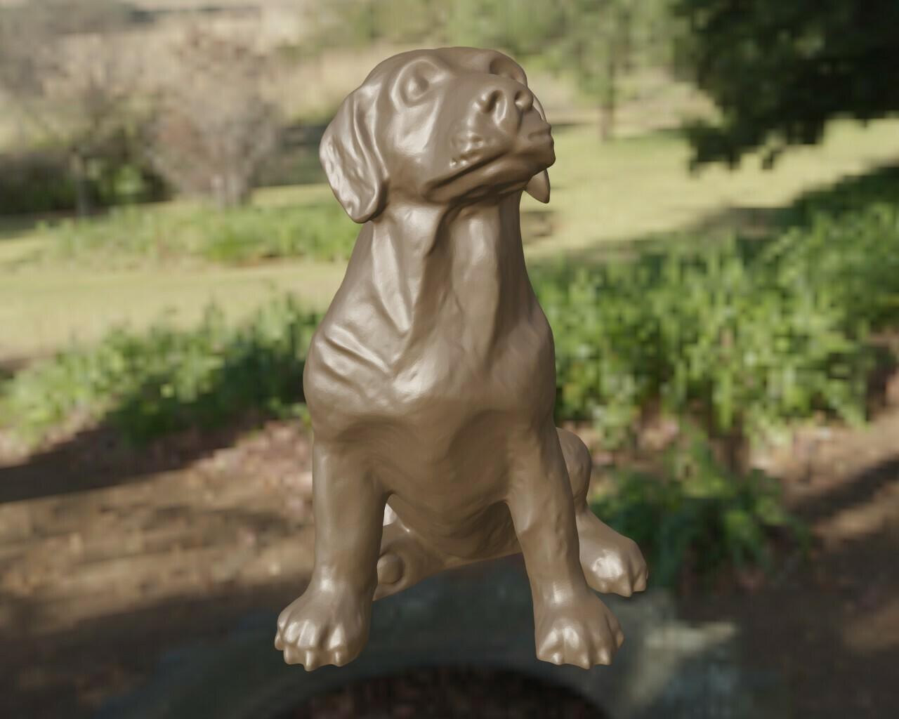 Labrador 3d model