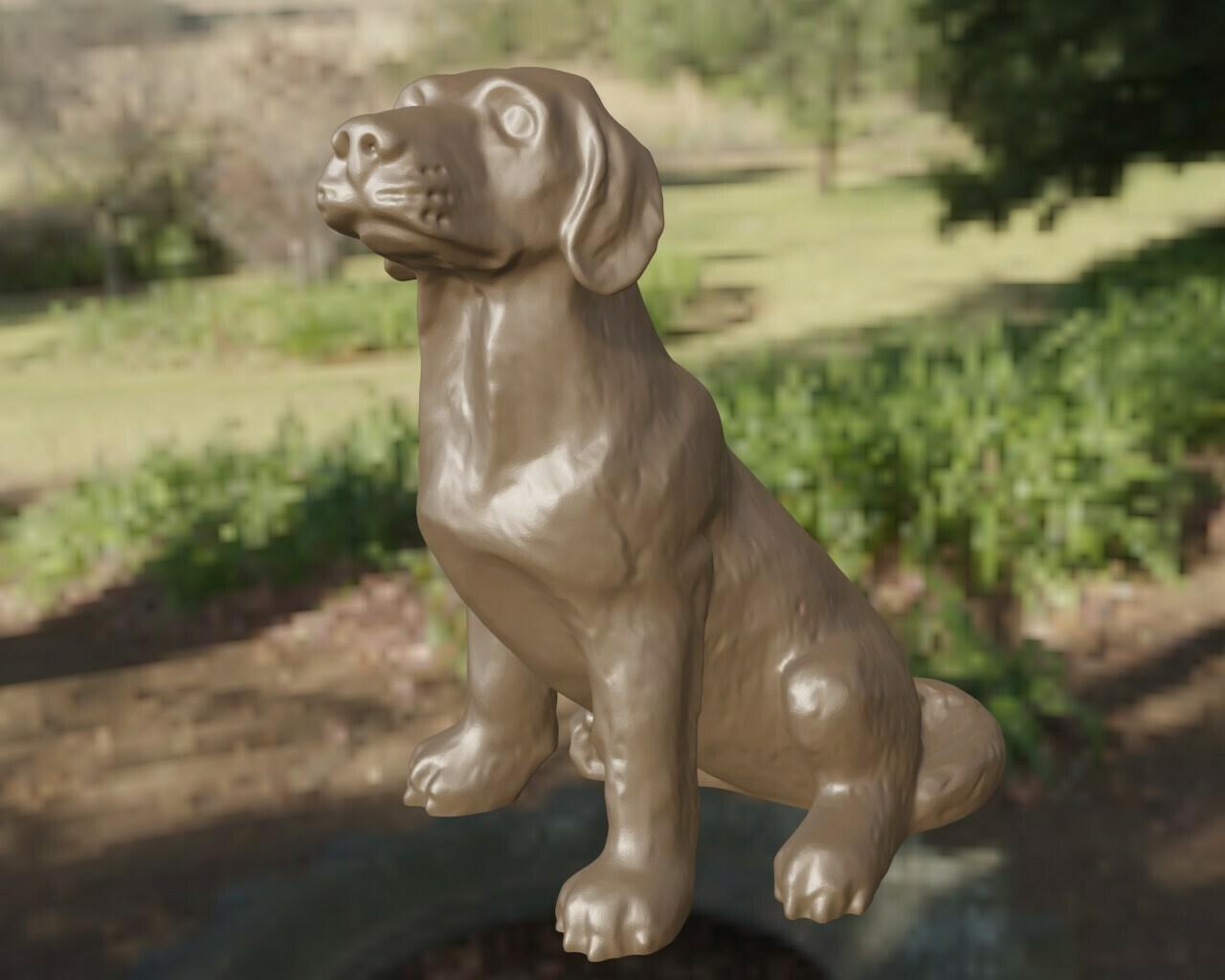 Labrador 3d model