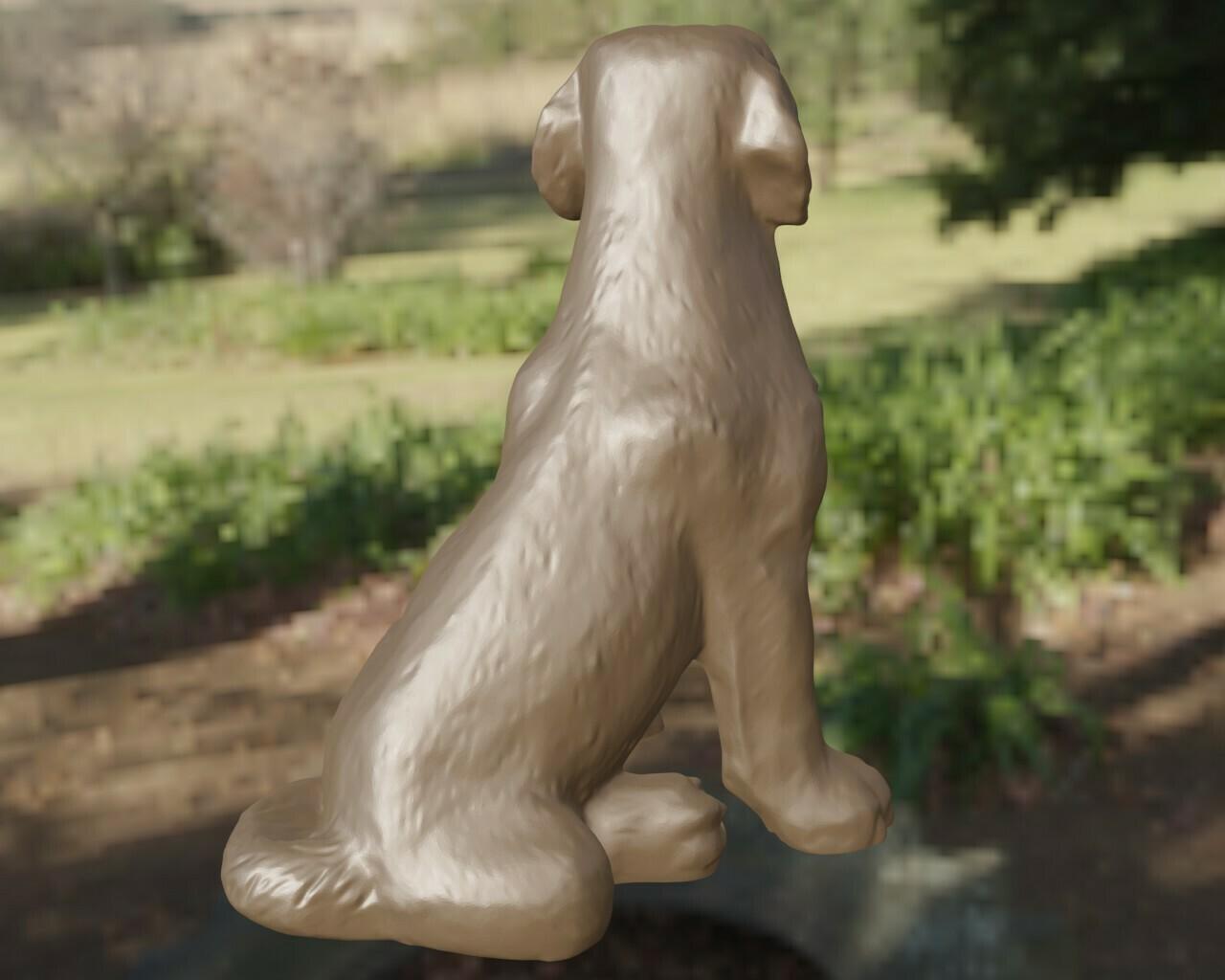 Labrador 3d model