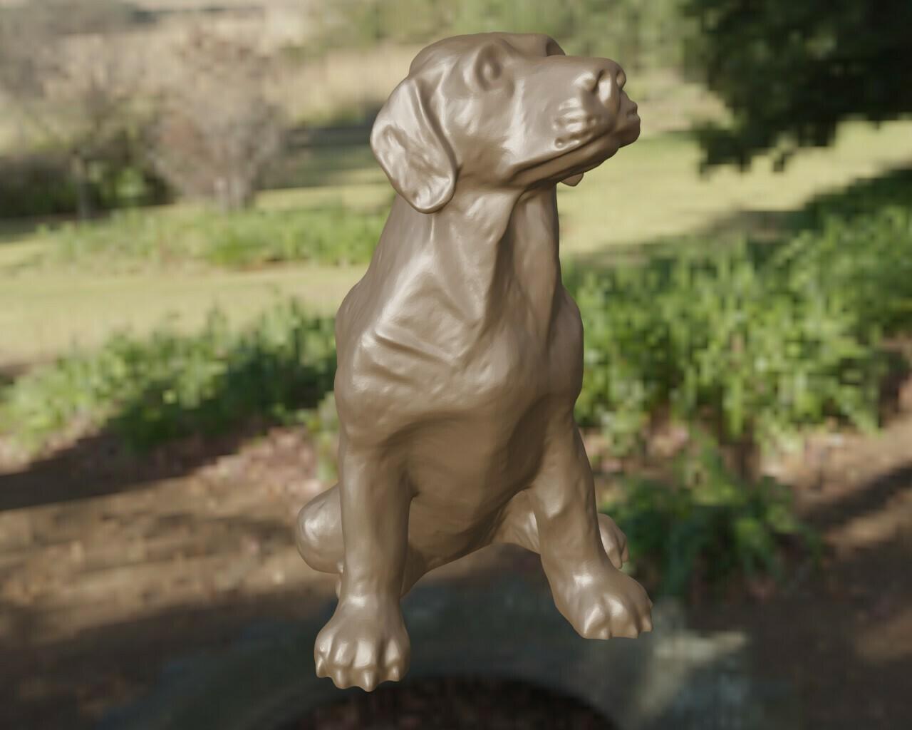 Labrador 3d model