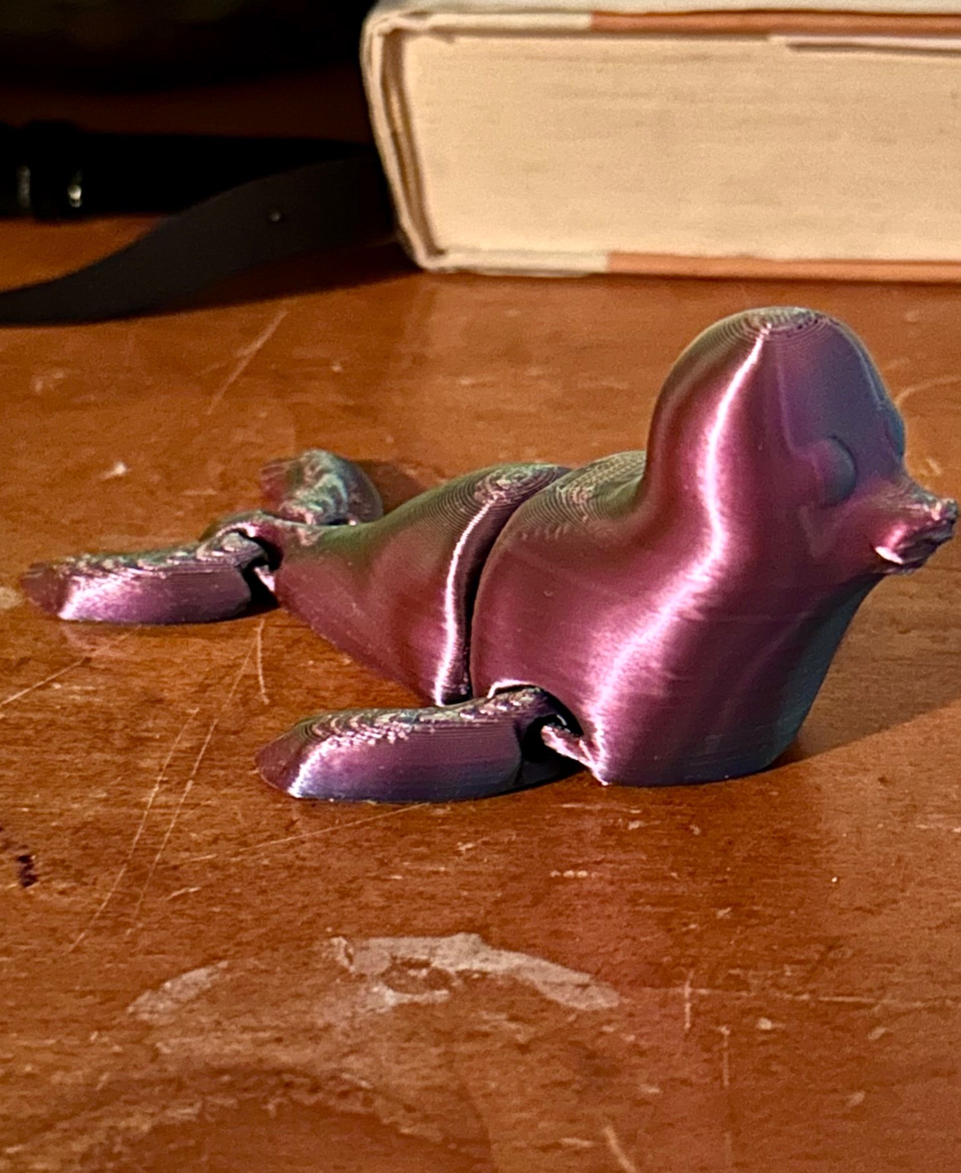 Flexi Baby Sea Lion - Sovol Tri Filament - 3d model