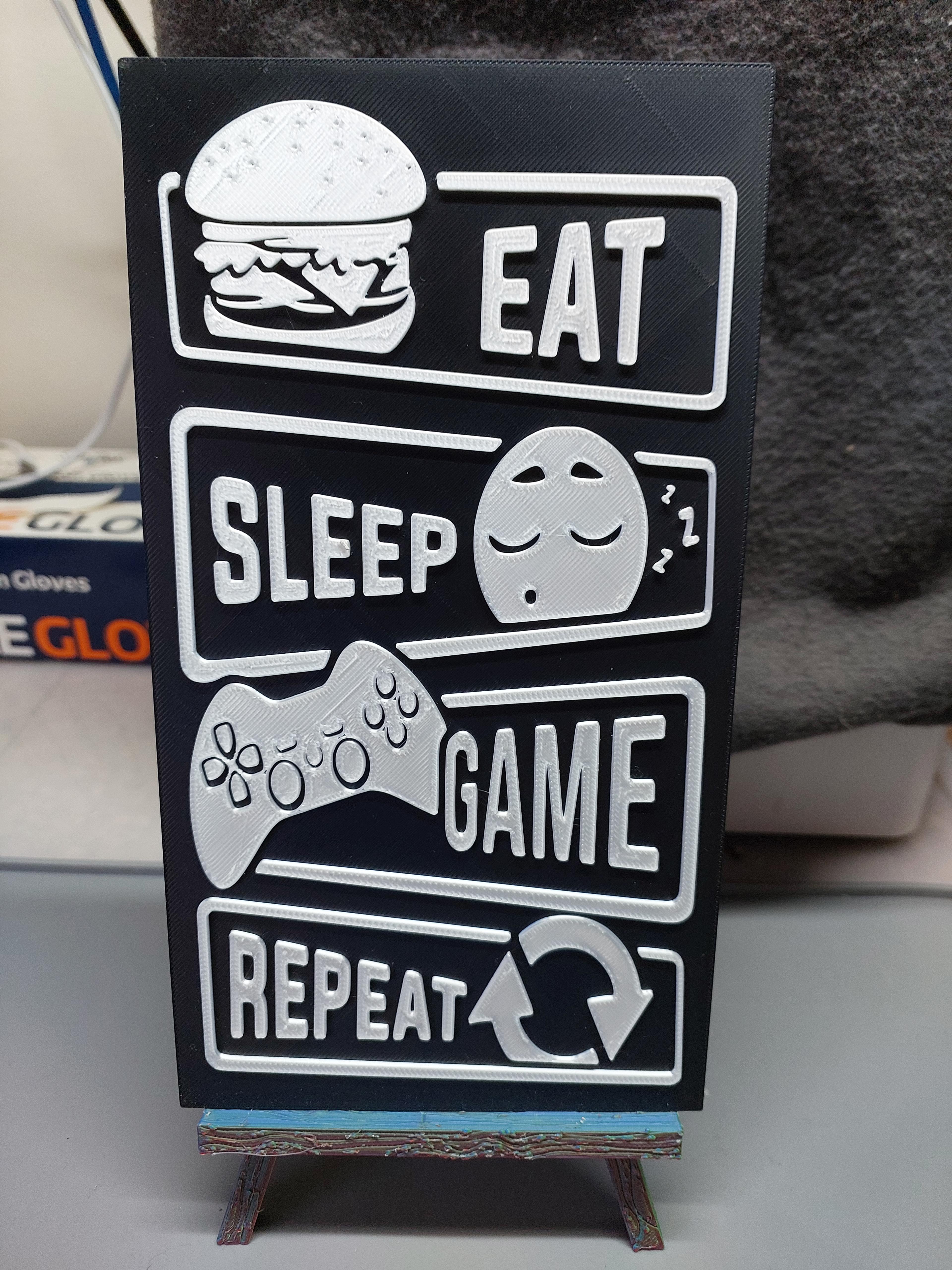 Eat Sleep Game Repeat 3d model