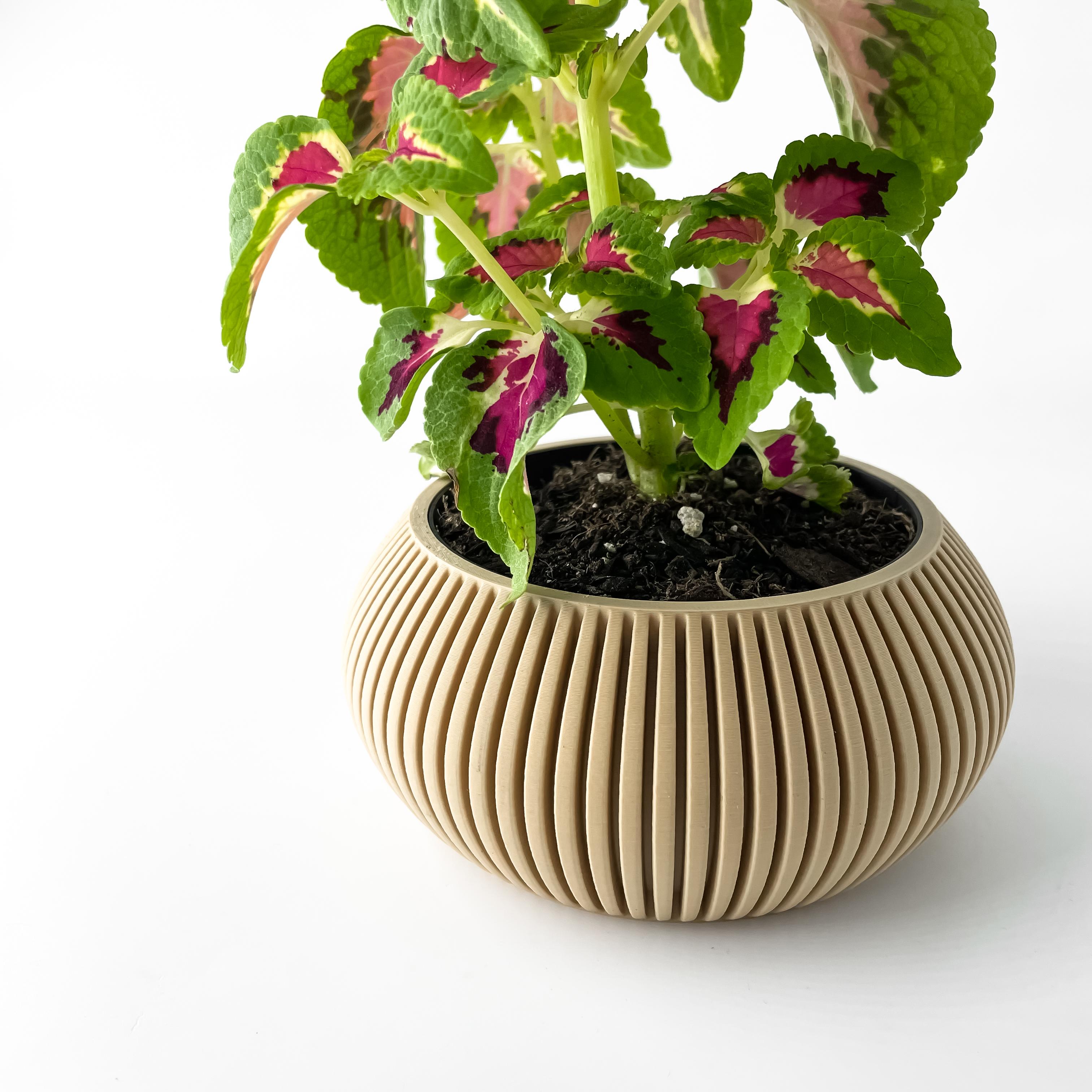 The Torme Planter Pot with Drainage Tray & Stand Included | Modern and Unique Home Decor 3d model