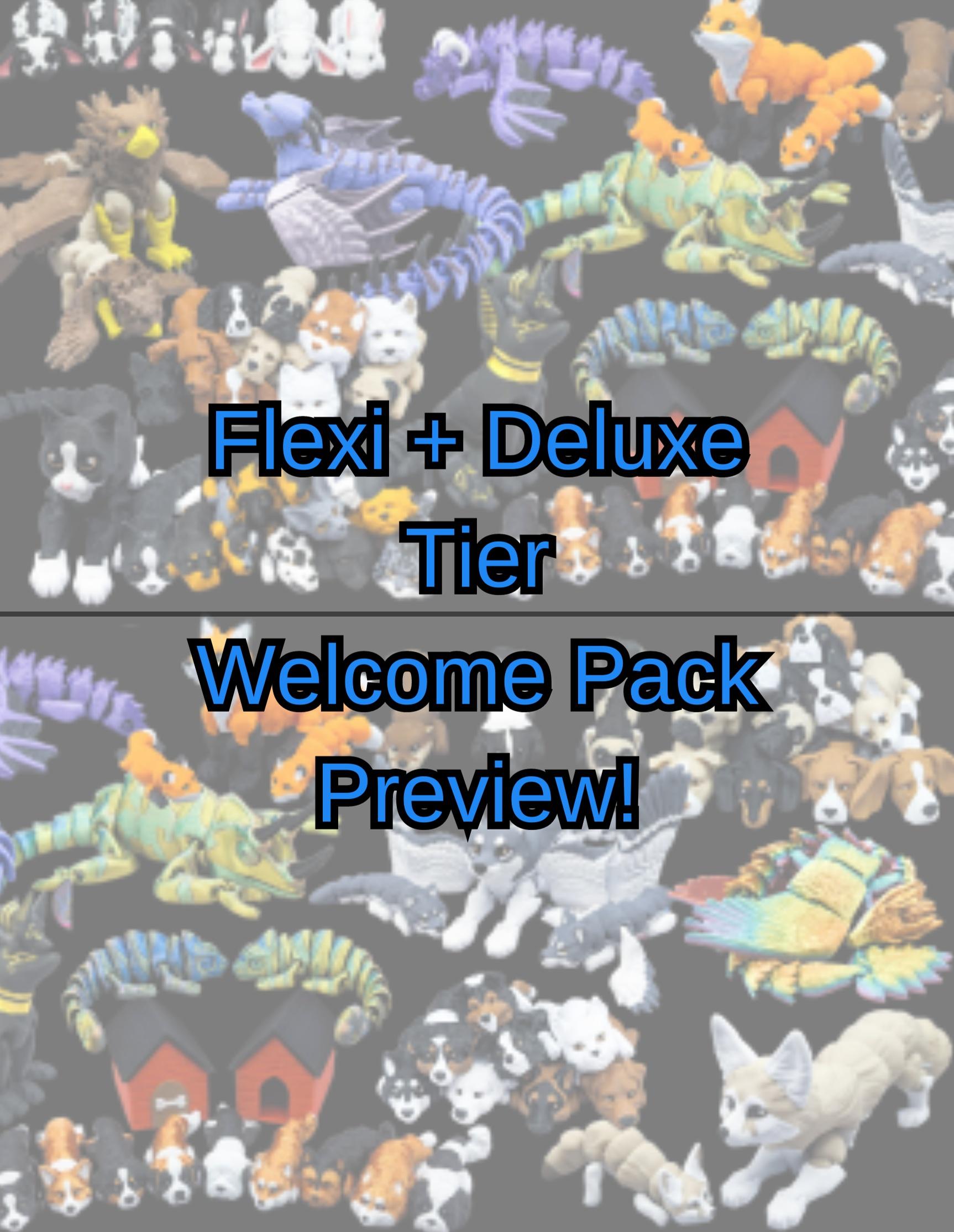Flexi Welcome Pack 3d model