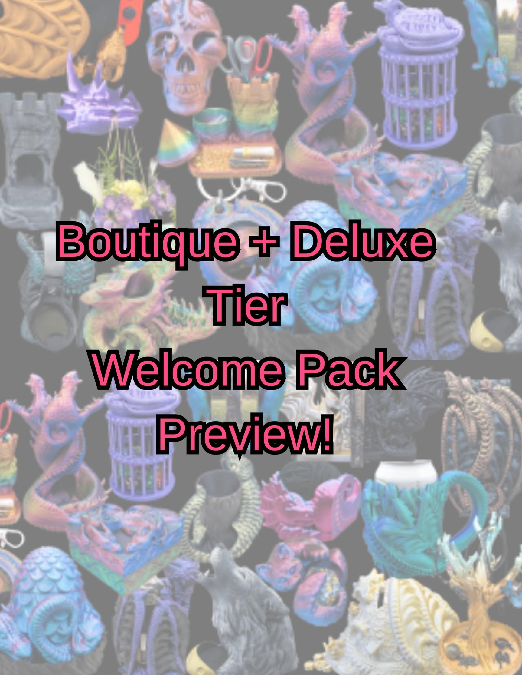 Boutique Welcome Pack 3d model