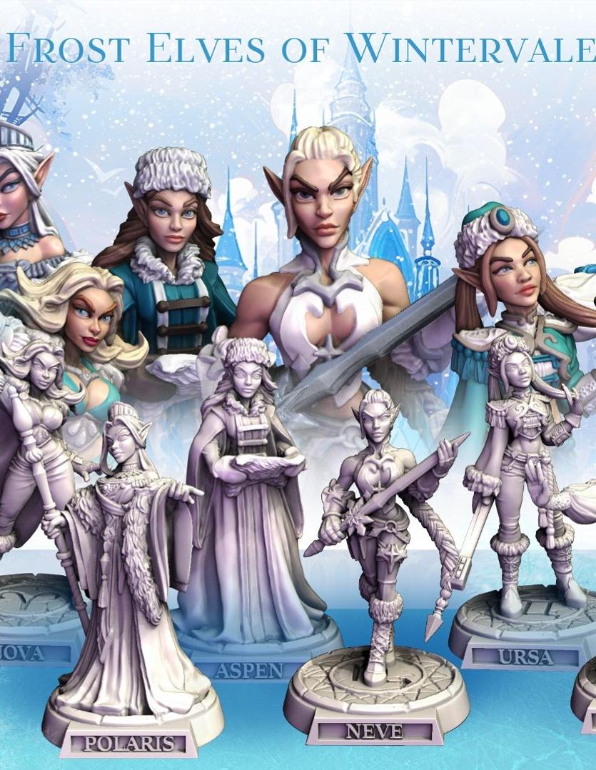 Frost Elves of Wintervale 3d model
