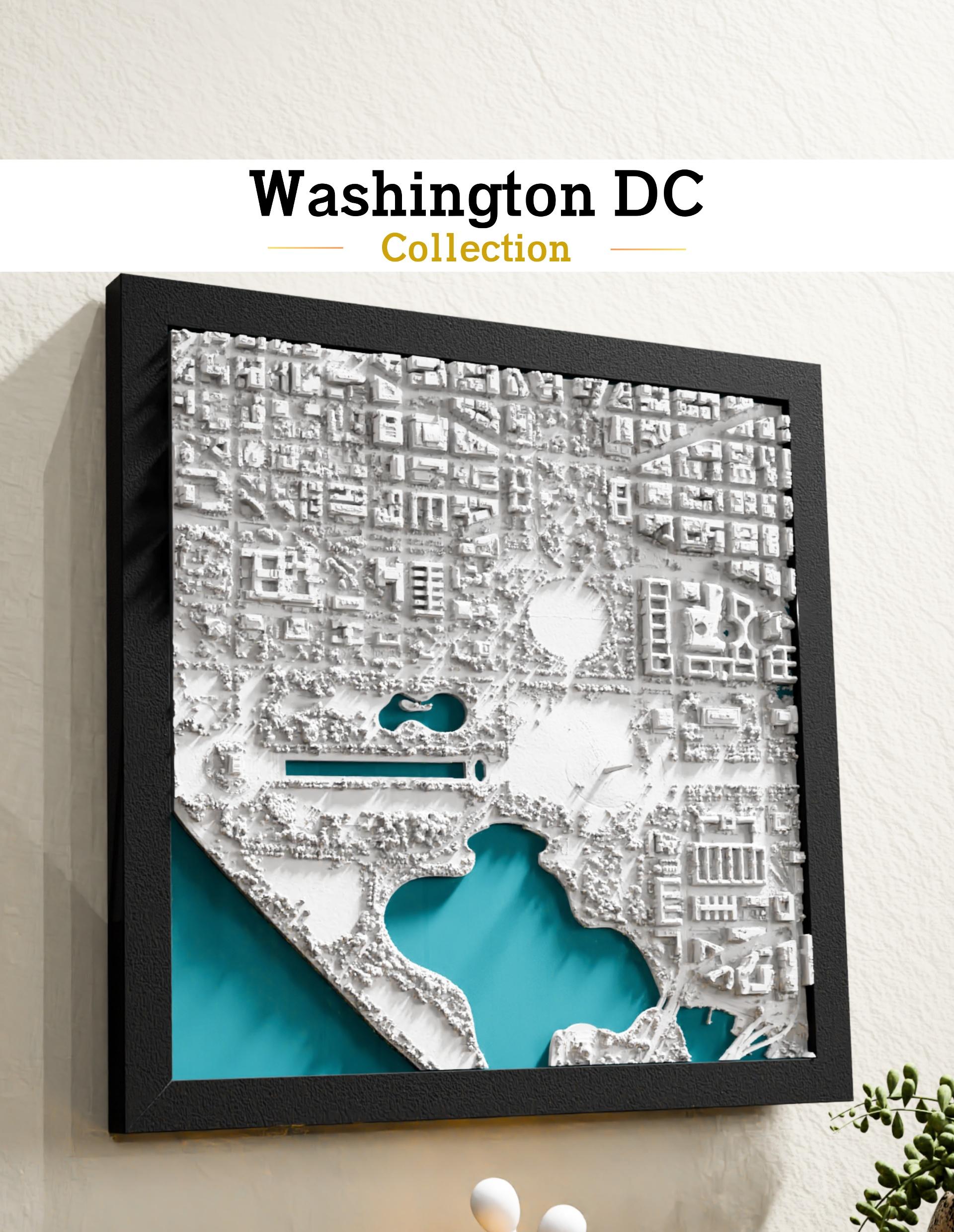 WASHINGTON DC COLLECTION 3d model