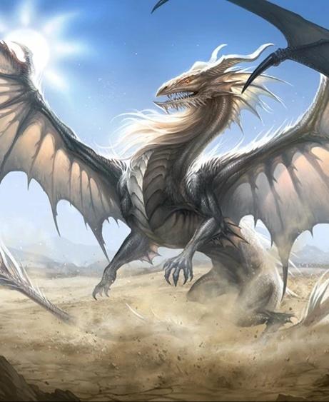 Cool Dragons 3d model