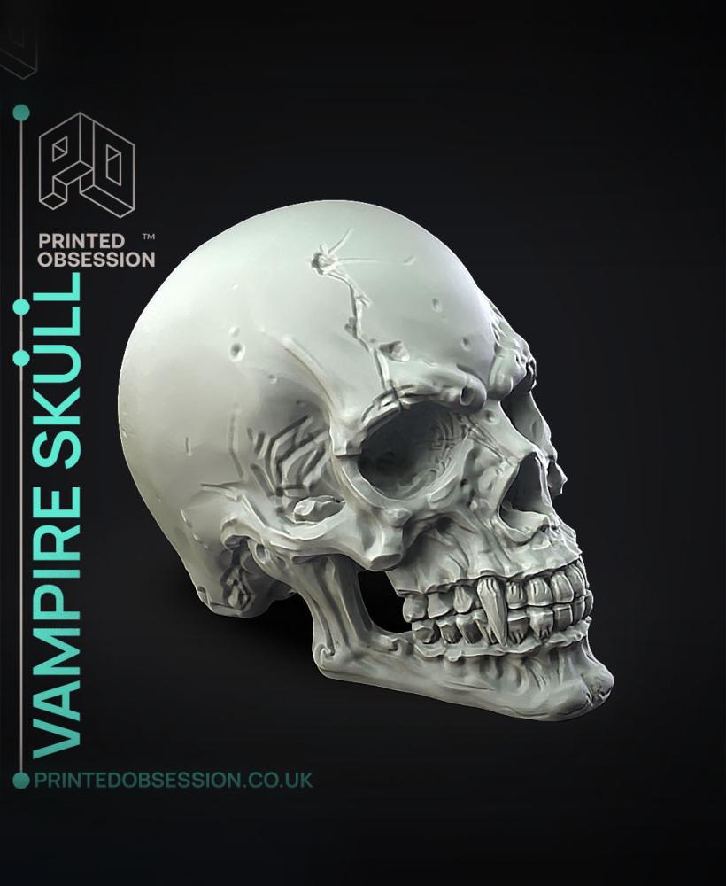 Vampire Skull - Decoration 3d model