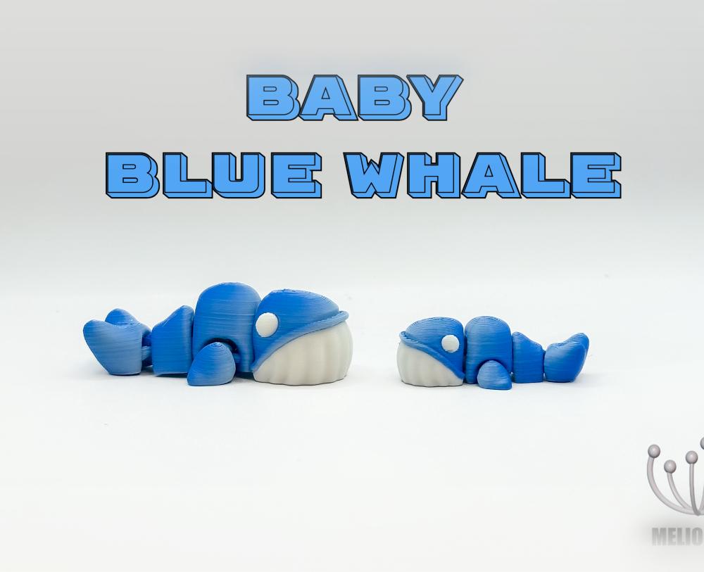 M3D - Baby Blue Whale 3d model