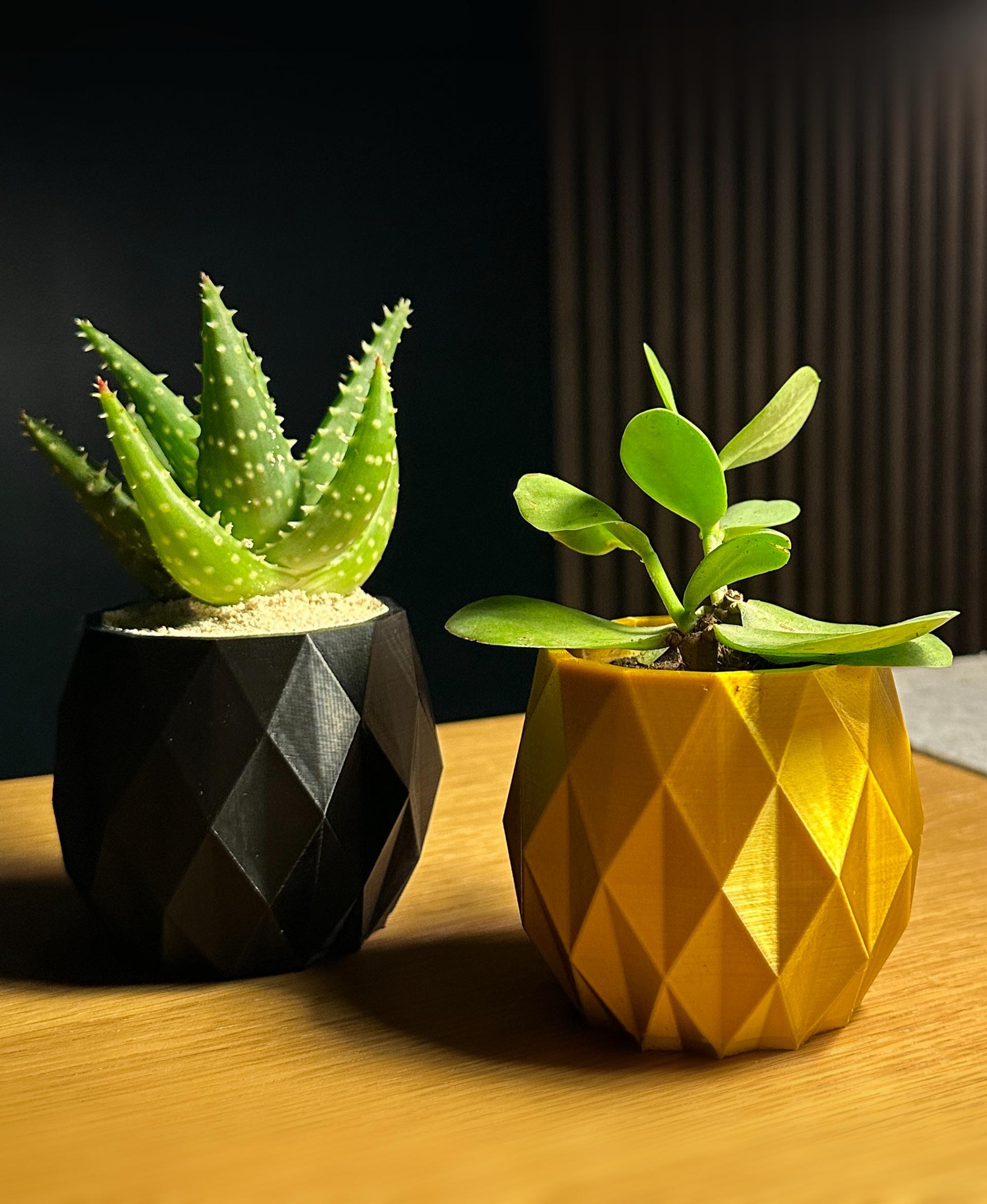 The Pineapple Planter ~  Planter ~ Free! 3d model