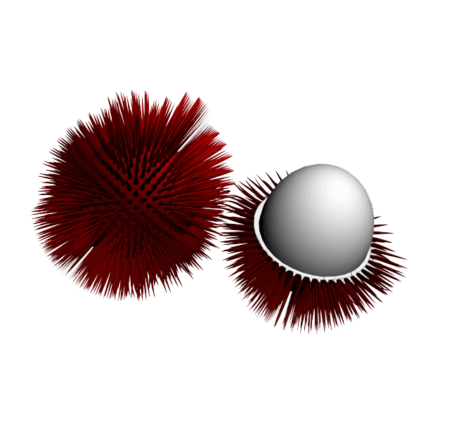 rambutan.stl 3d model