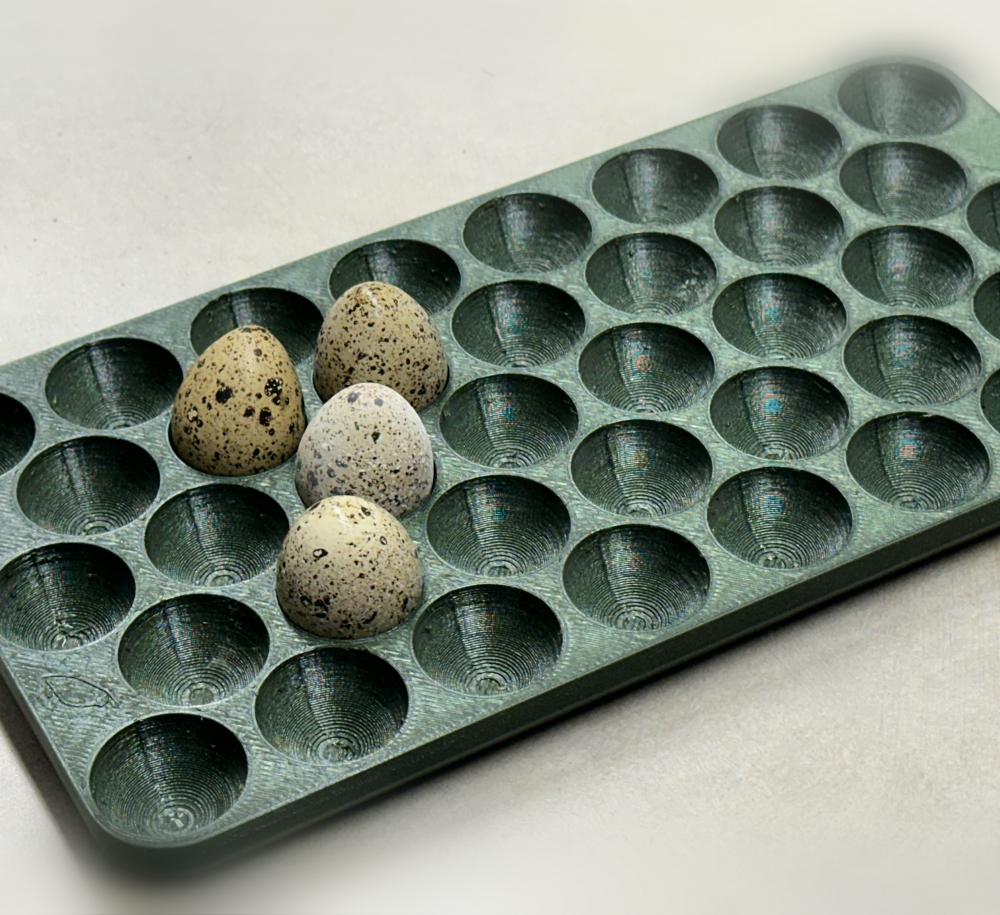 38 Quail Egg Tray 3d model