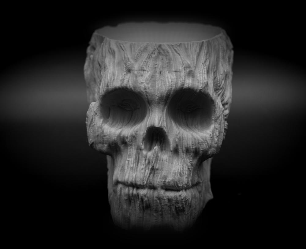 Forest Spirit Skull Pot 3d model