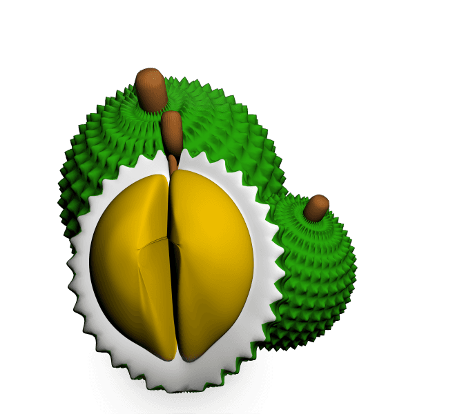 durian.stl 3d model