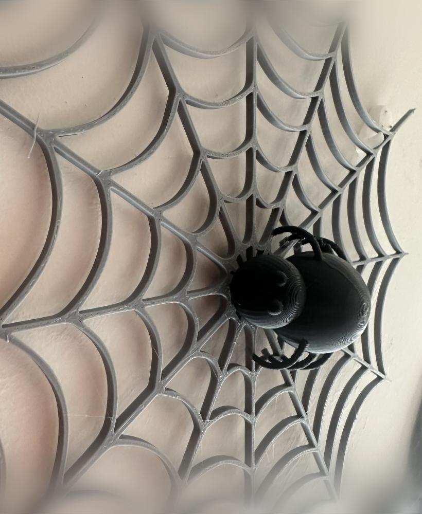 spider 3d model