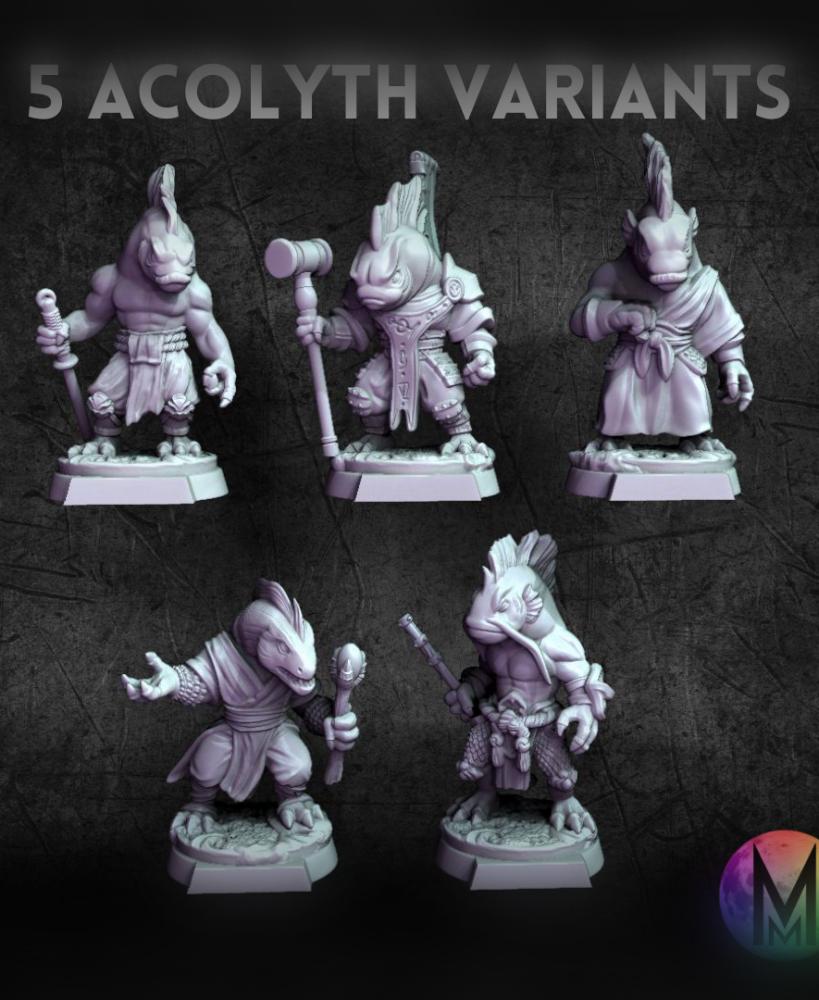 Acolith Variants (Set of 5 models that are variants of the other acolyths) 3d model