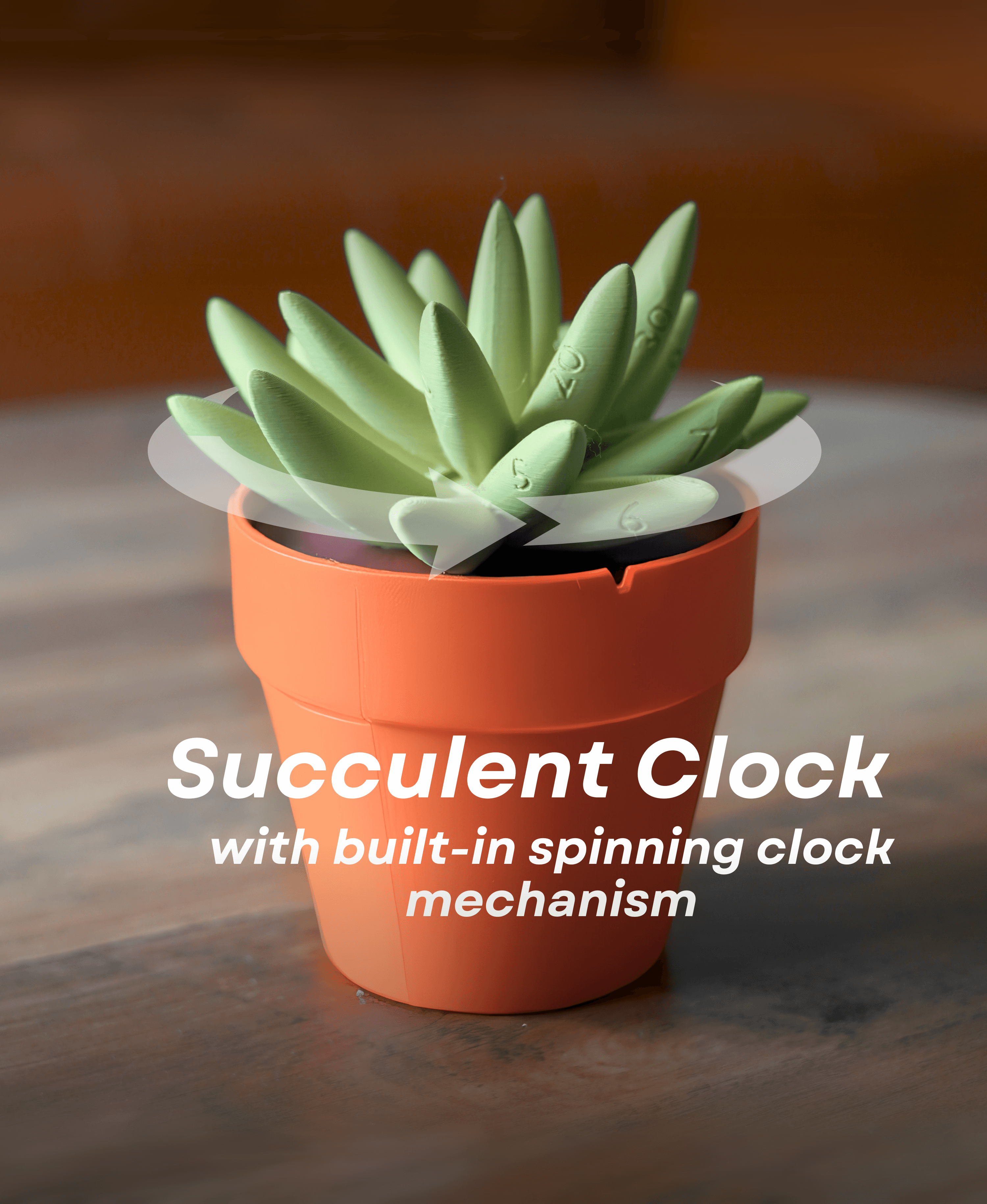 Succulent Clock 3d model
