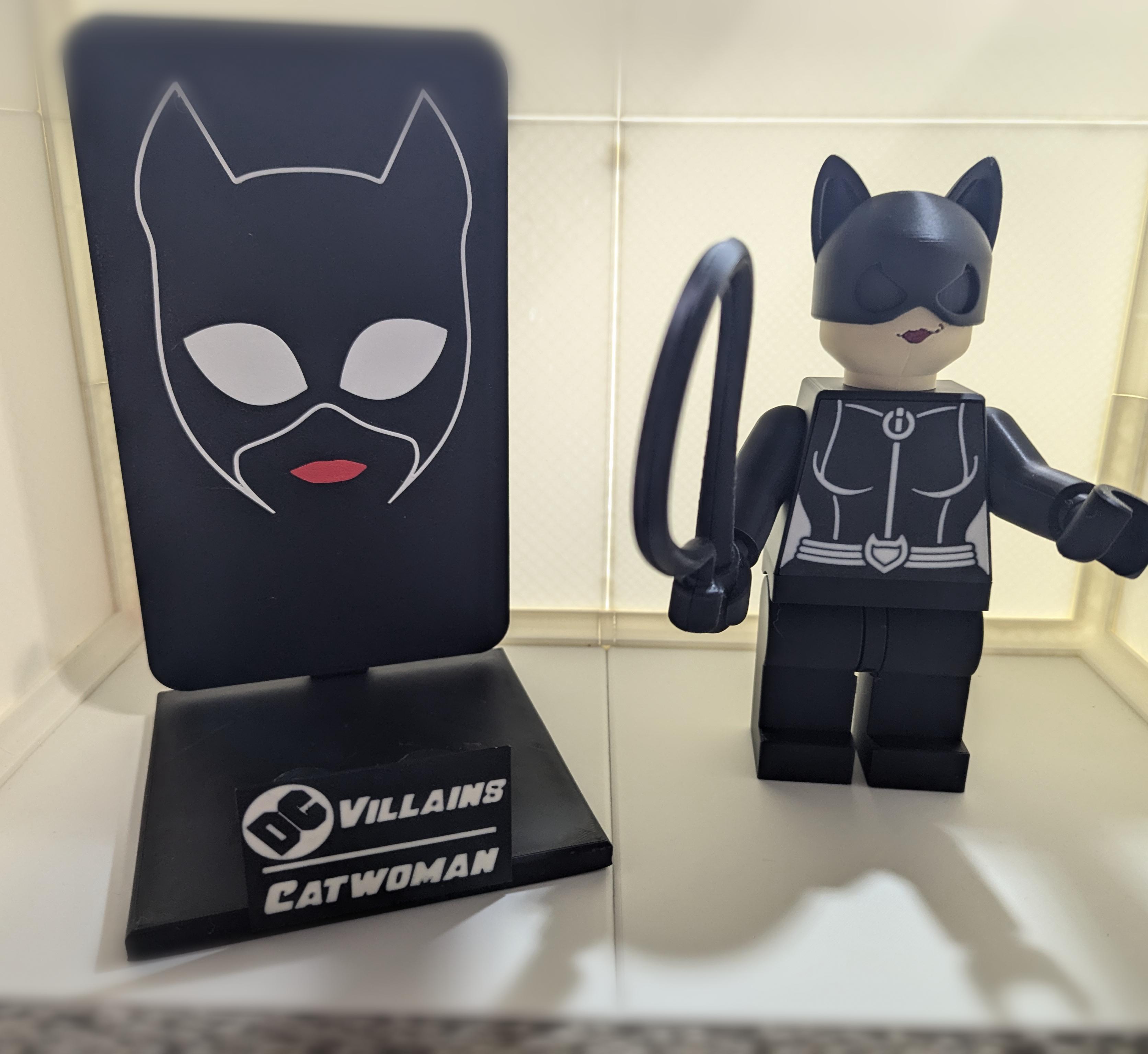 Catwoman Backer Plates 3d model