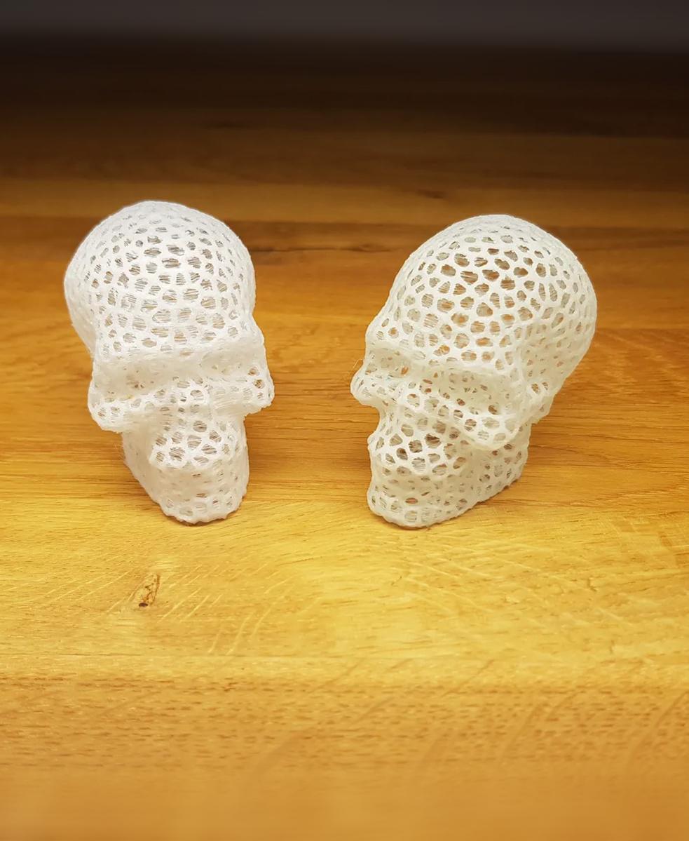 Voronoi Skull 3d model