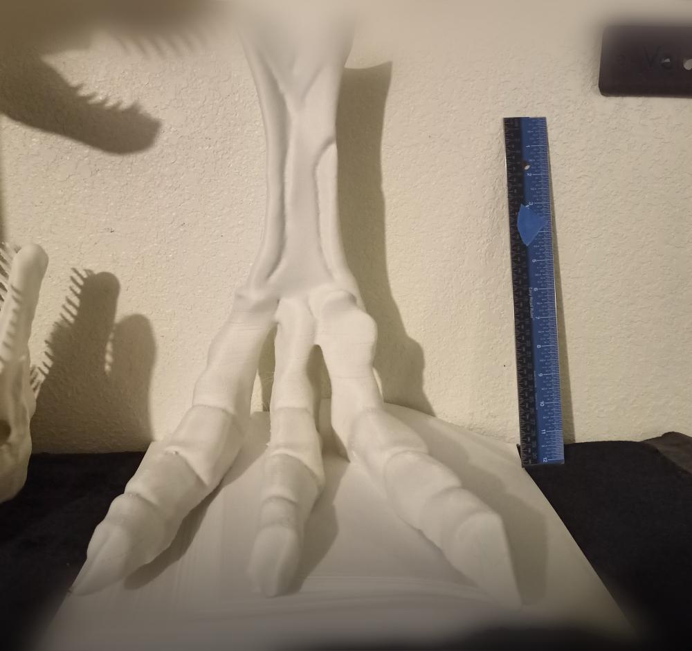 300mm Trex foot paper weight 3d model