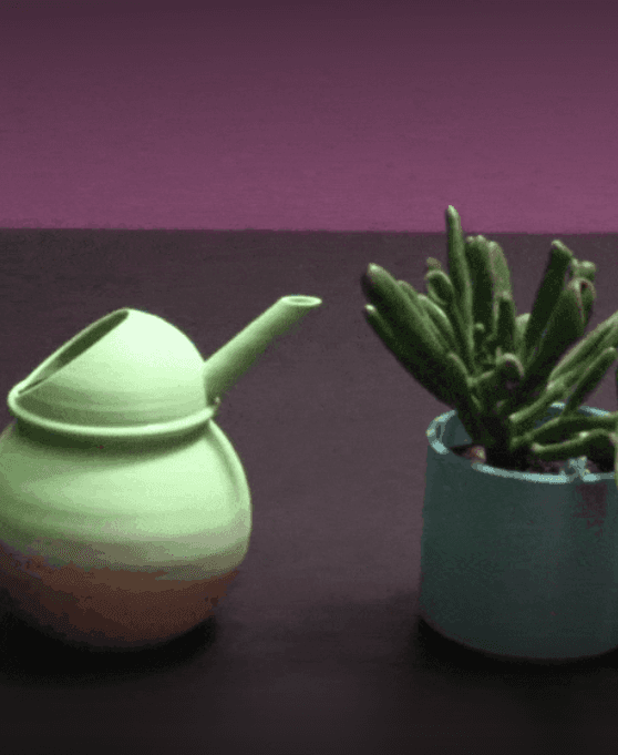 Bulbus Watering Can - Support Free 3d model