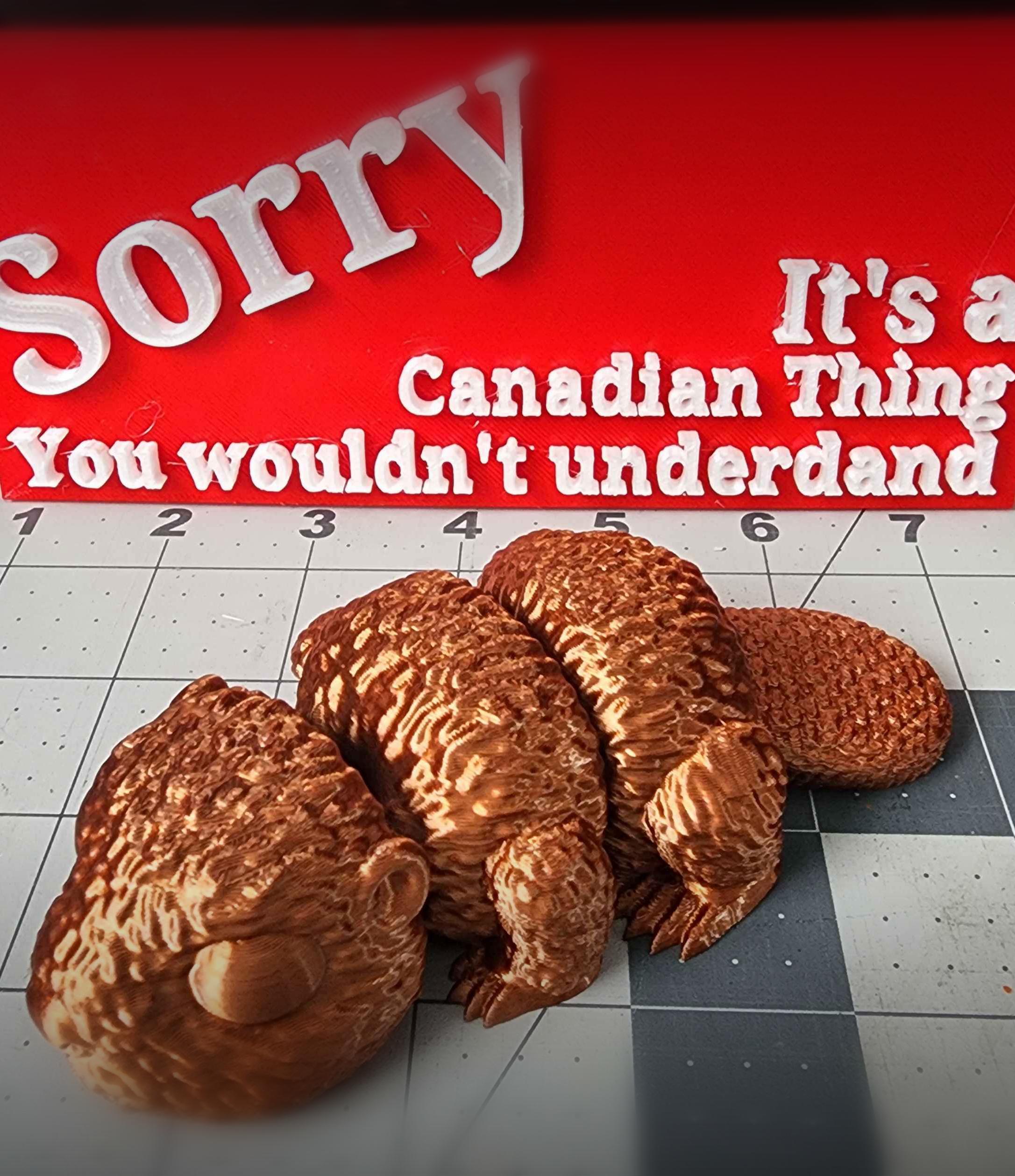It's a Canadian Thing Sign 3d model