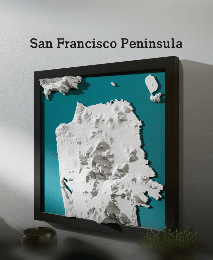 San Francisco Peninsula Terrain 3d model