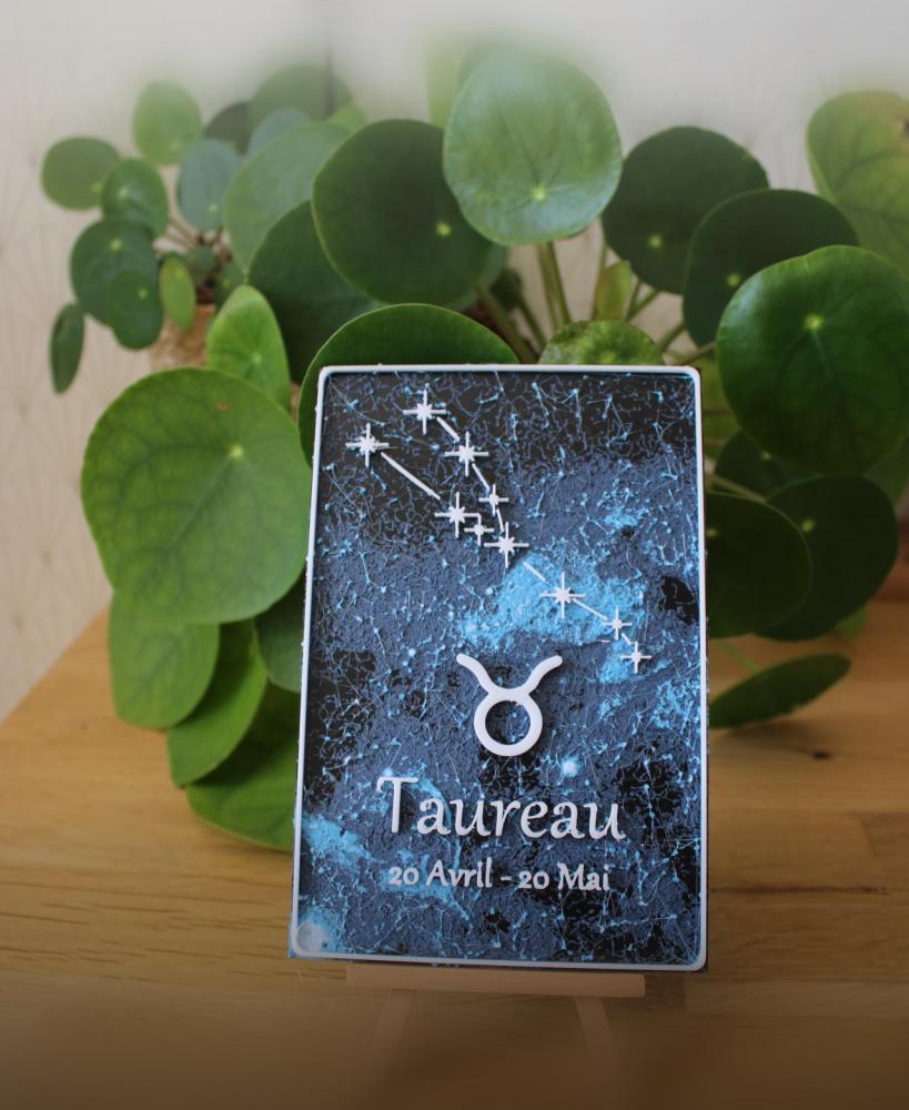 Astro Card - Taurus - English and French version 3d model