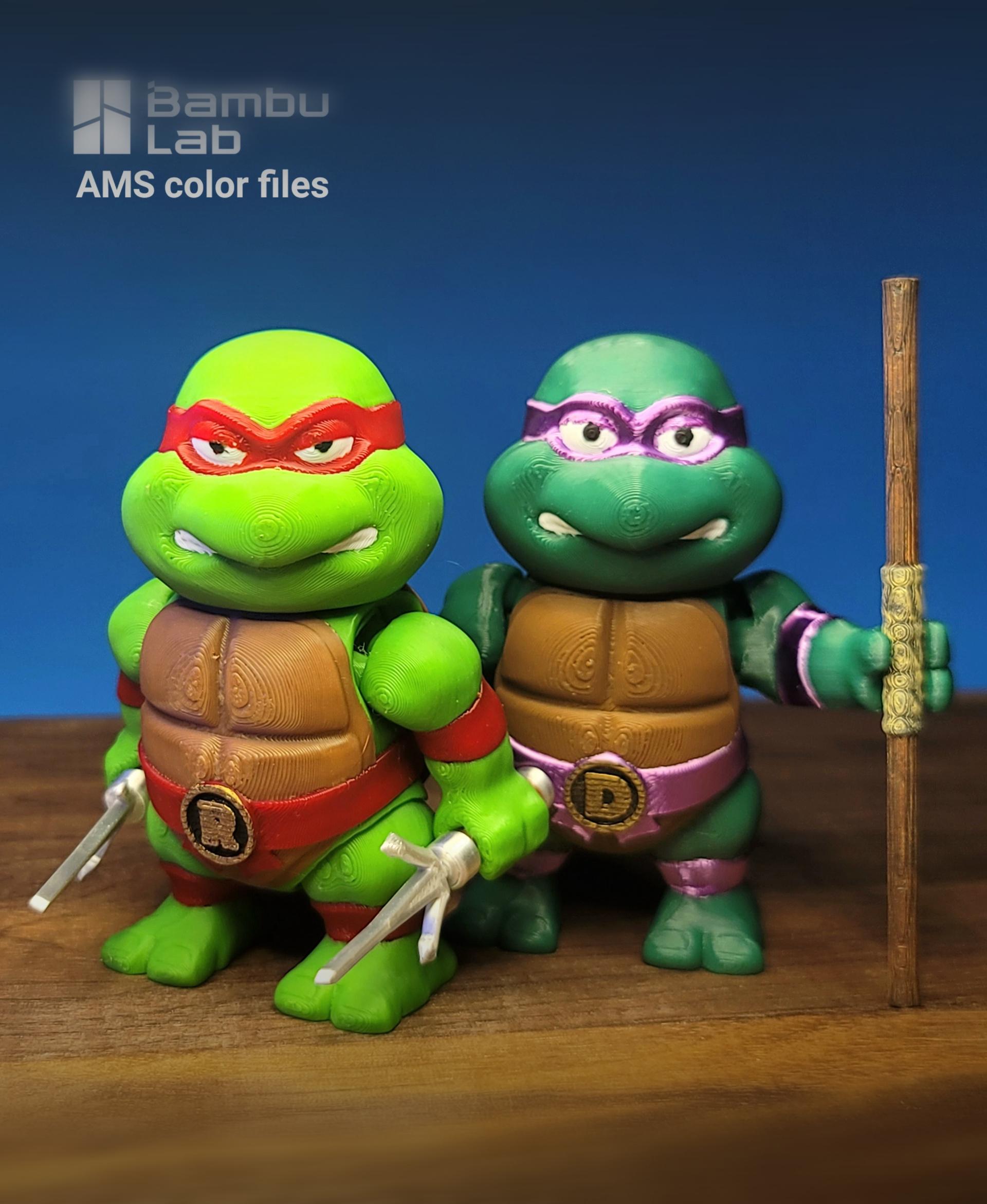 Donatello and Raphael Fexi Combo Pack 3d model