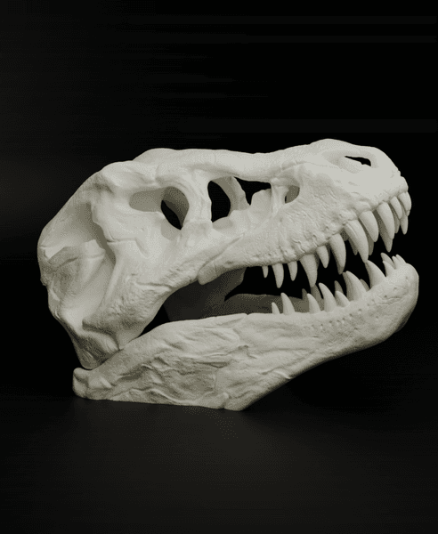 T-Rex Skull 3d model