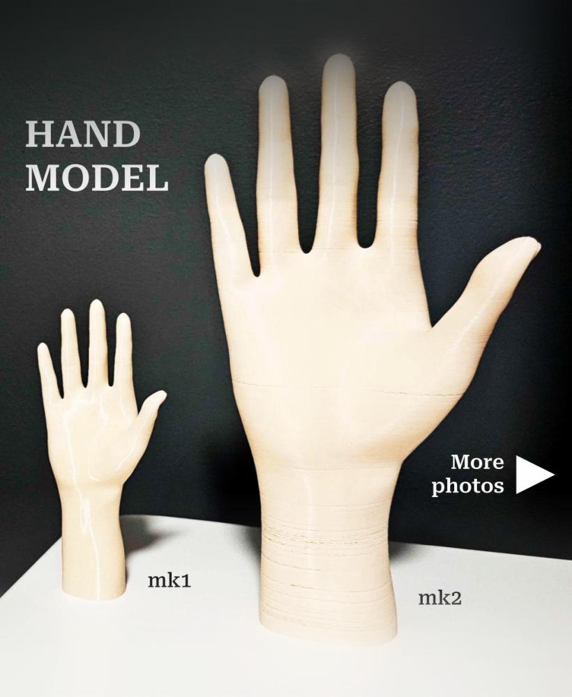 Hand model | Sculpted | Somewhat Realistic 3d model
