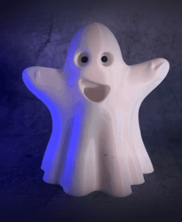 Ghost in Disguise 3d model