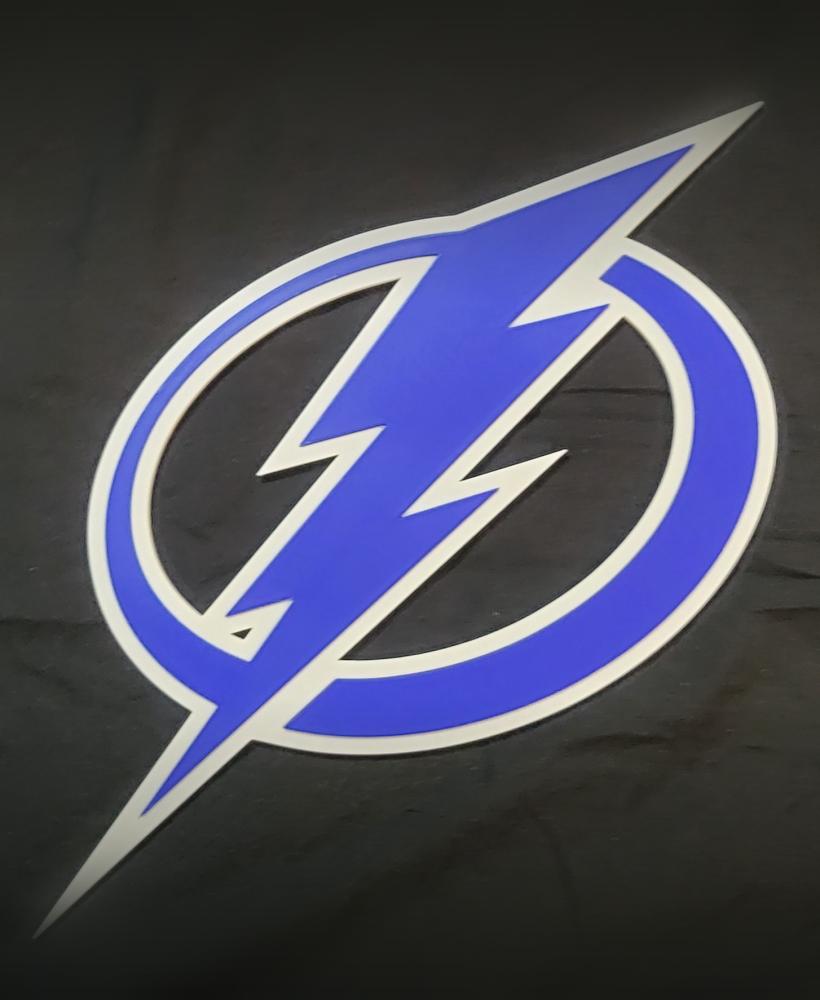 Tampa Bay Lightning 3d model