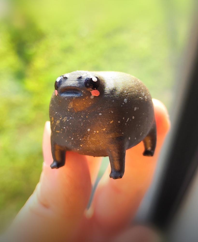 Cute Chonky Frog - Black Rain Frog - Grumpy Frog - Desert Rain Frog 3d model