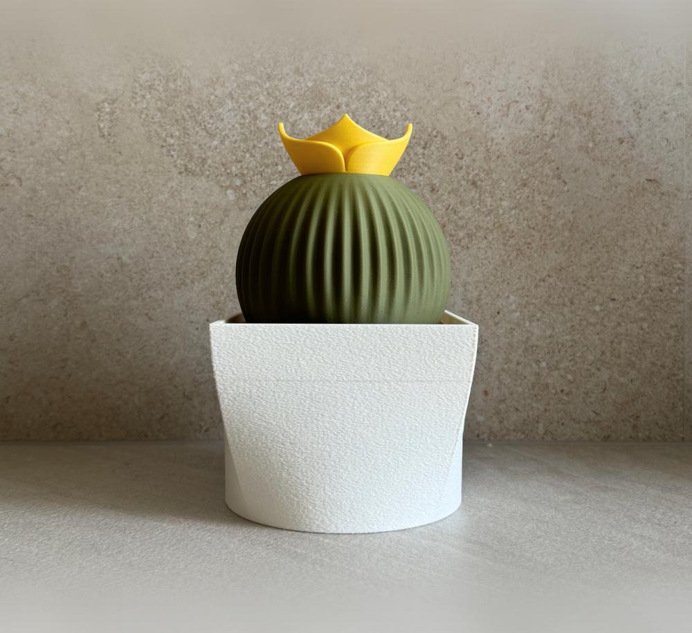 Cacti Parti, a set of coasters, napkins and toothpick holders. 3d model