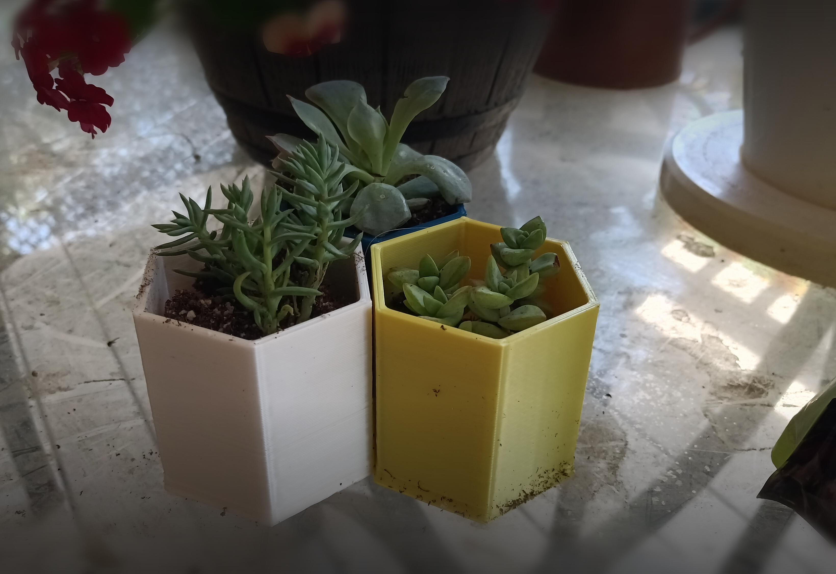 Hexagon Modern Style Succulent Pot Planters Single Double Triple desk organizer as well 3d model