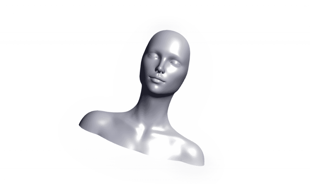 FEMINE HEAD.stl 3d model