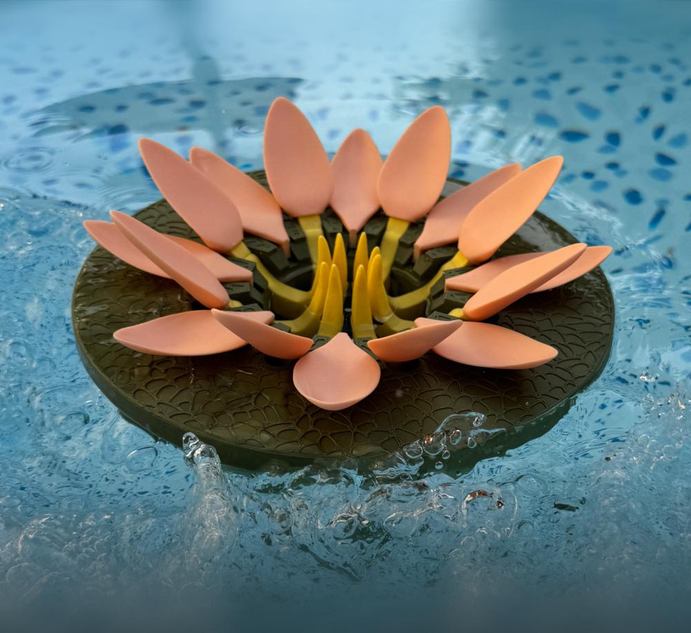 Lotus, pool cup holder. 3d model