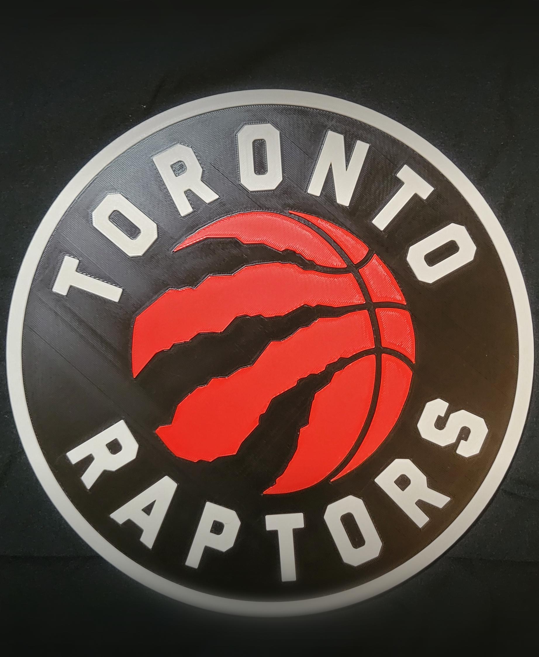 Toronto Raptors 3d model