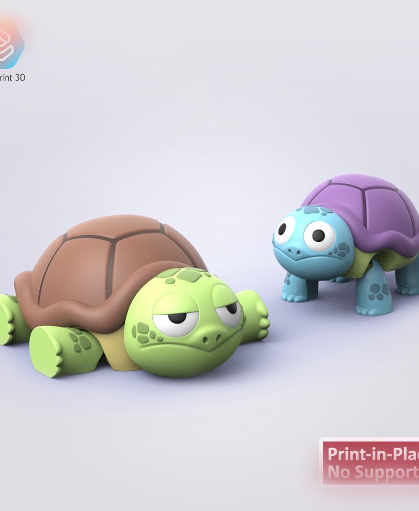 Flexi Tortues 3d model