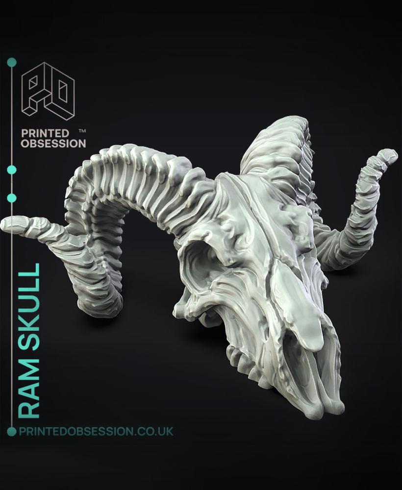 Ram Skull - Decoration 3d model